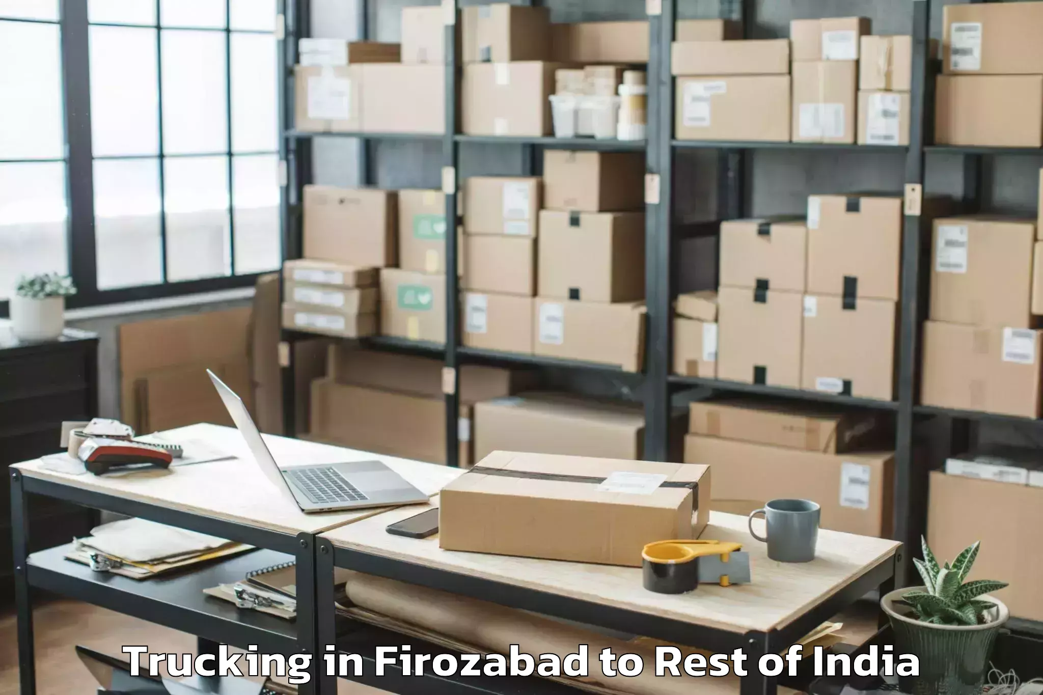 Easy Firozabad to Surankote Trucking Booking